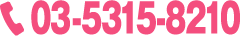03-5315-8210